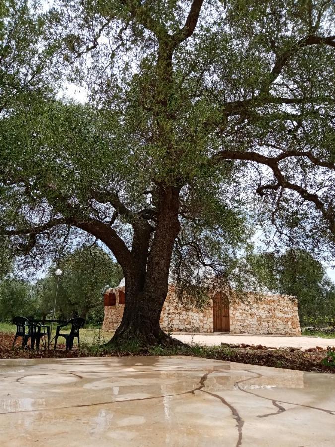 Вілла Trulli Monte Madre Сан-Віто-дей-Норманні Екстер'єр фото