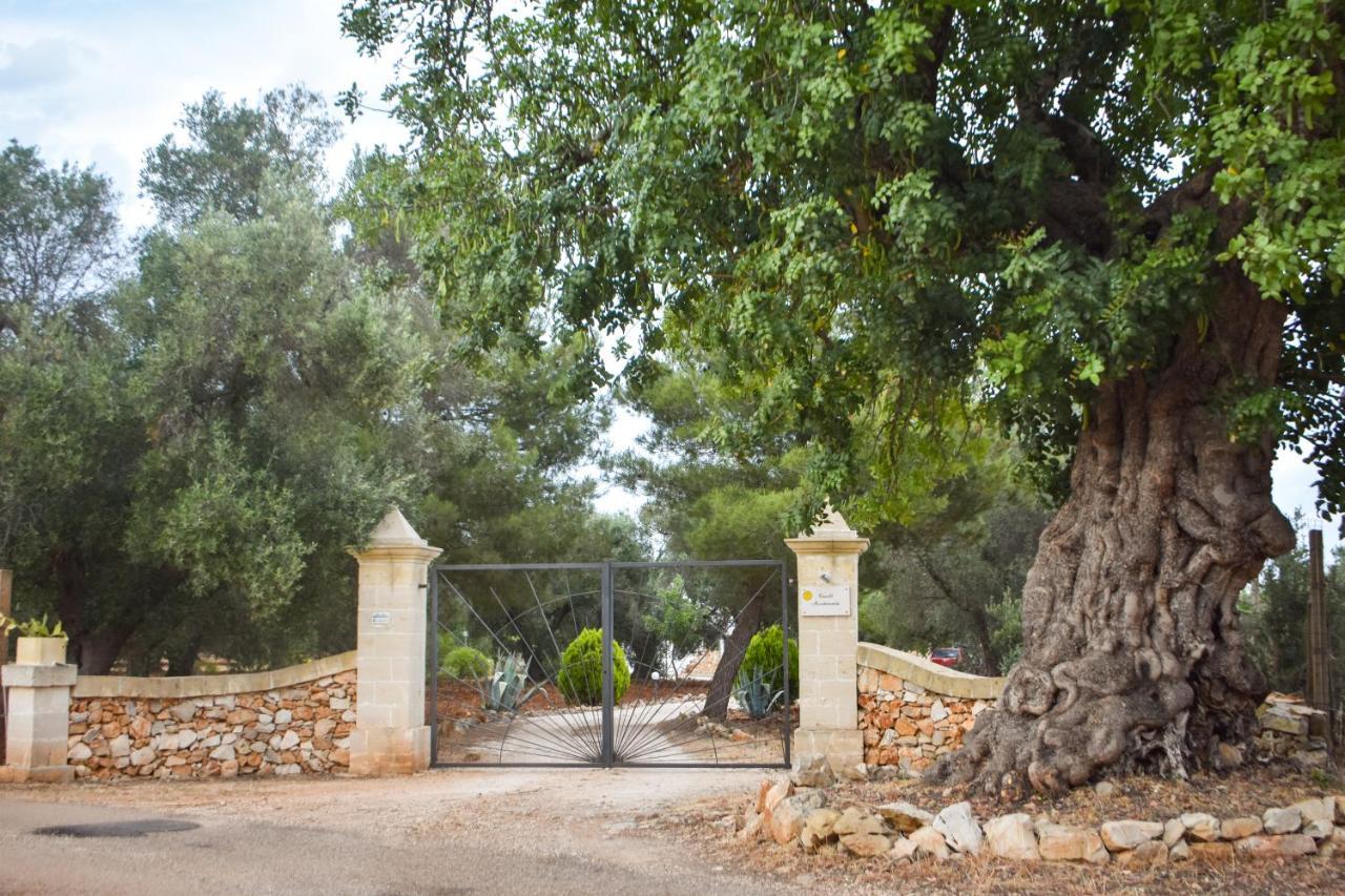 Вілла Trulli Monte Madre Сан-Віто-дей-Норманні Екстер'єр фото